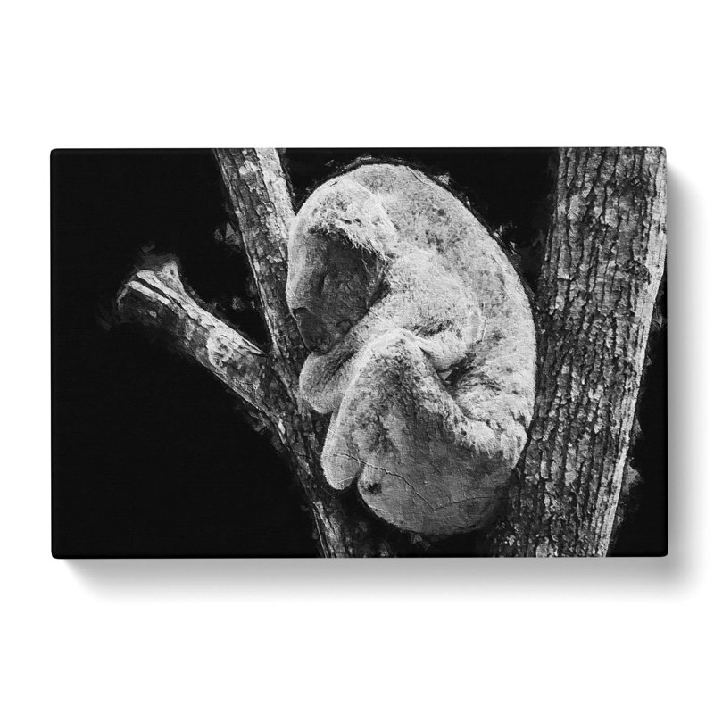 Koala Bear Resting In A Tree - Wrapped Canvas Print, 35cm H x 50cm W x 3cm D