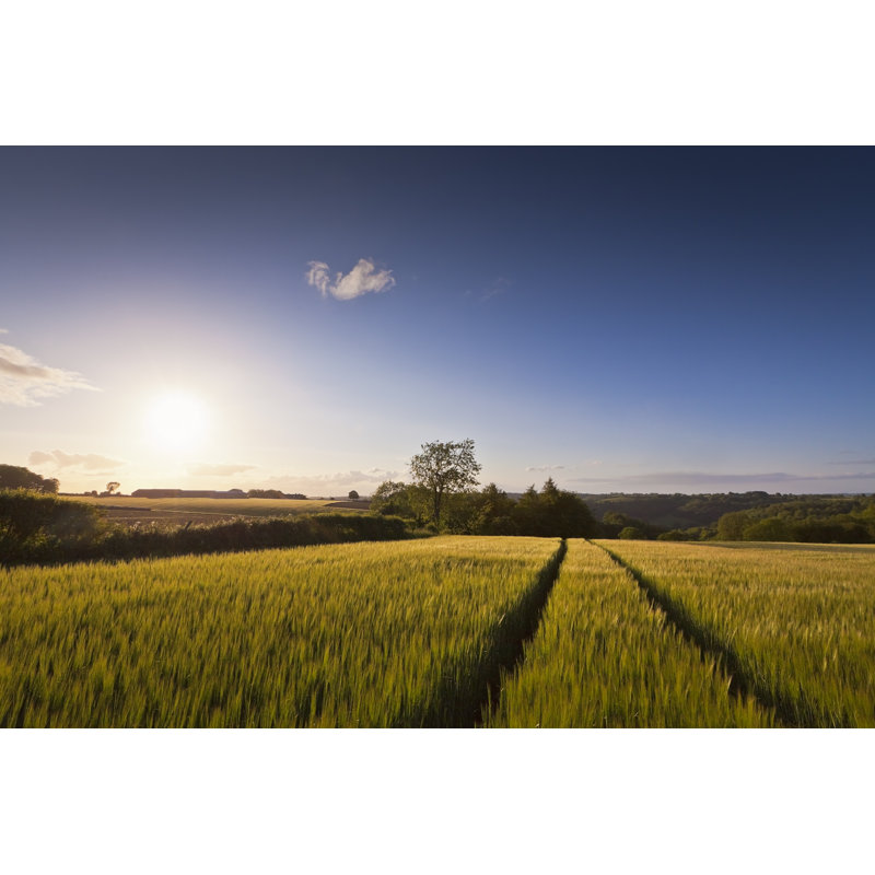 Idyllic Rural Sunset, Cotswolds - Wrapped Canvas Print, 30cm H x 46cm W x 3.8cm D