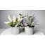 Arrangement floral Gira en pot