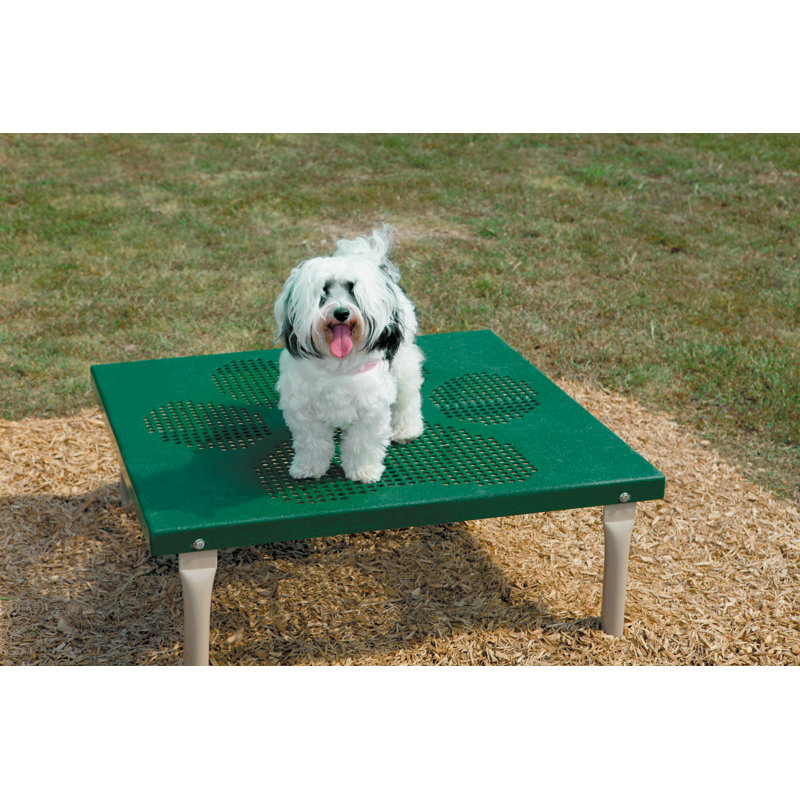 Table de pattes Pollitt