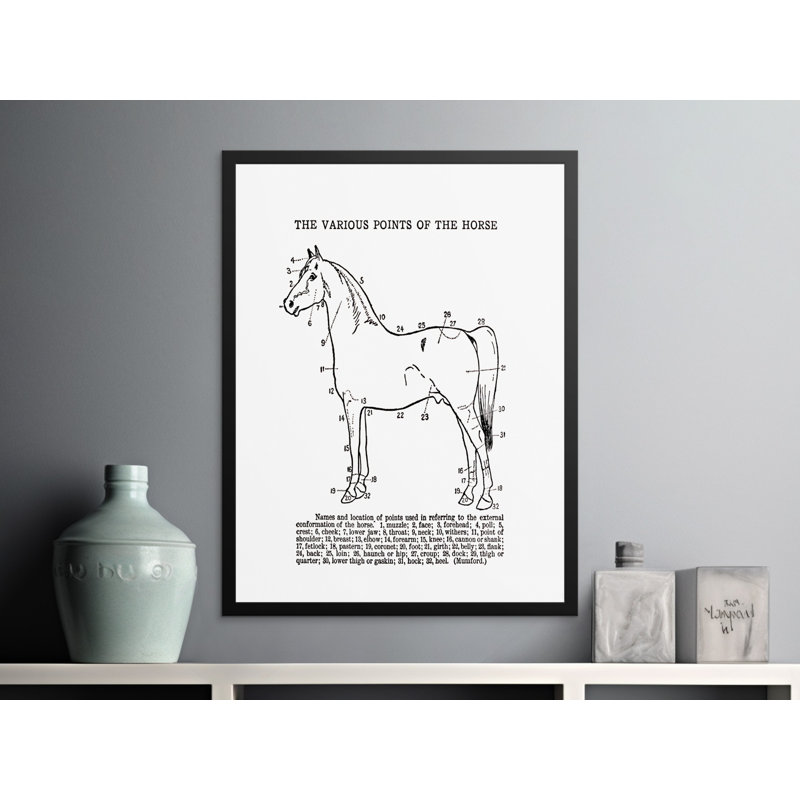 Comeau Single Picture Frame Print, 121.92 cm H x 81.28 cm W