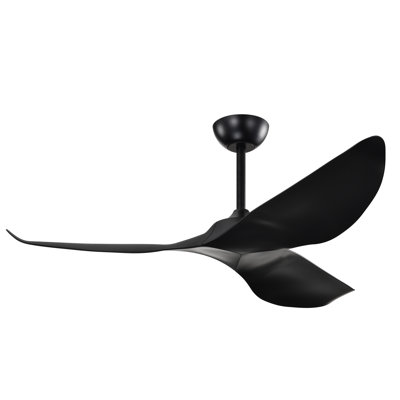 Ventilateur de plafond 3 pales avec télécommande Duncan