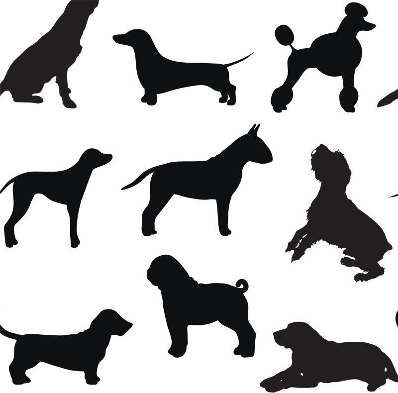 Dog Days Wallpaper Roll by Jamie Graney, Vinyl