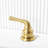 Widespread 2-handle Bathroom Faucet with Drain Assembly-86794416