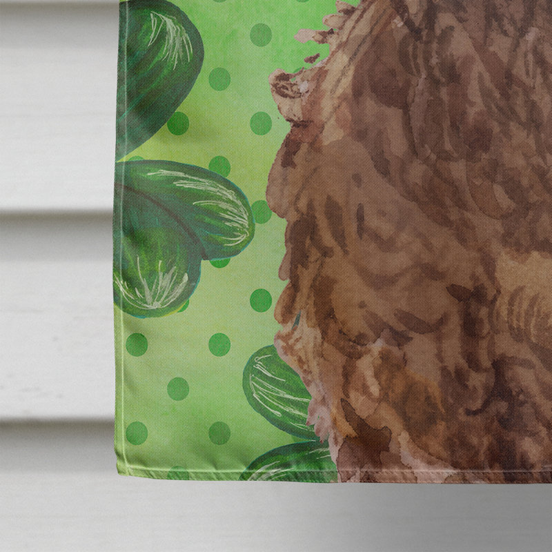 40 x 28 po en polyester à 2 côtés de la st patrick drapeau maison, Cockapoo brun