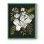 Alabaster Bouquet II, reproduction encadrée - bois massif-781363156-781363150