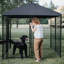 Enclos pour chien Stay Series-62525369