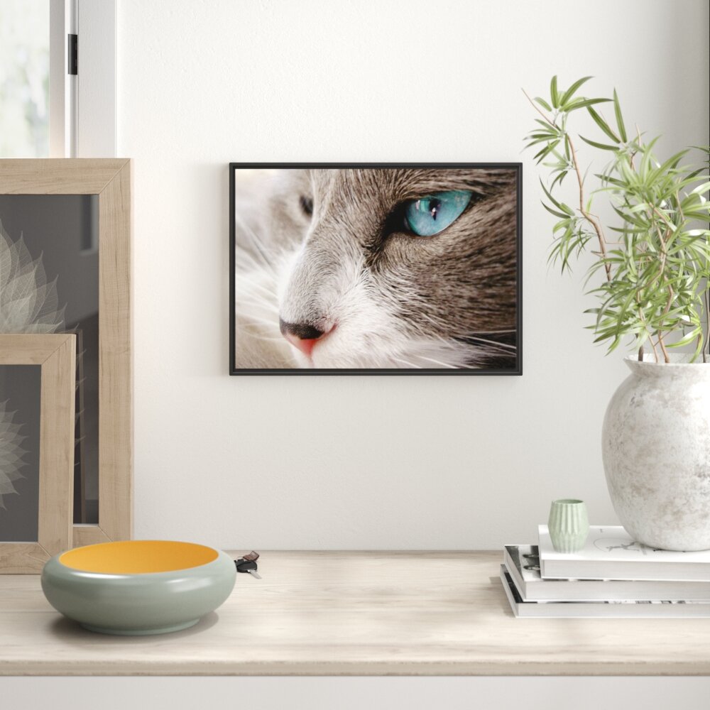 Gerahmtes Wandbild Katze mit blauen Augen