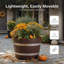 Jardinière Winon-683372895-683372892