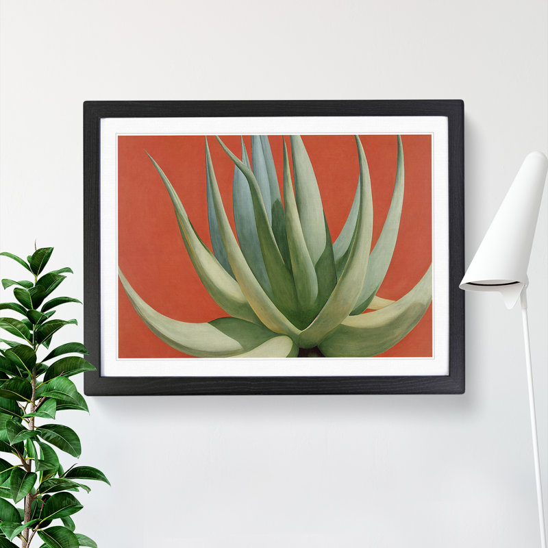 Compelling Aloe Vera Plant - Single Picture Frame Print, Black Framed, 25cm H x 34cm W x 2cm D
