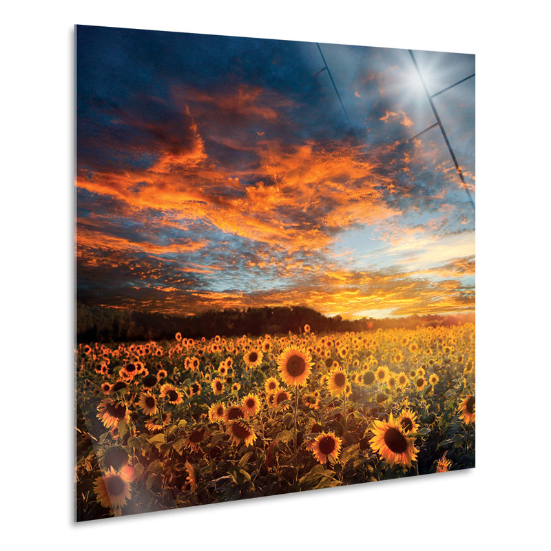 Sunflowers at Sunset 1 Piece Wall Art, 65cm H x 65cm W