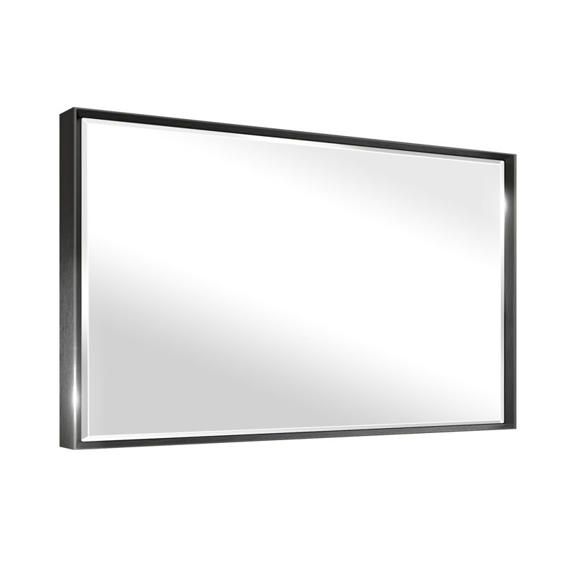 Miroir de salle de bain mural Lohoski, Noir, 24 po x 48 po