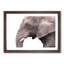 Portrait of an Elephant - Framed Print-56758688-56758690