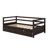 Daybed With Trundle-18869111