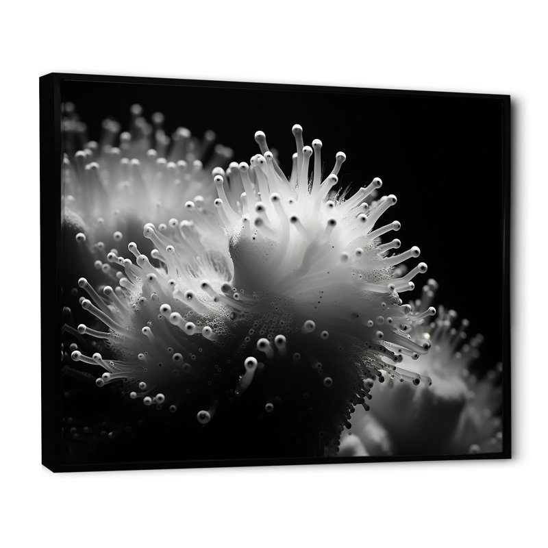 " The Charm Of Pufferfish ", Black Floater Framed, 16" H x 32" W x 1" D