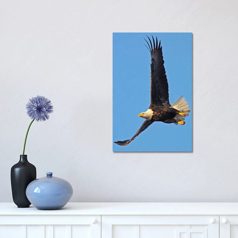 Soaring 1 Piece Wrapped Canvas Wall Art, 45.72cm H x 30.48cm W x 1.91cm D
