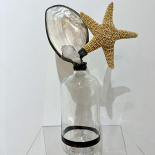Coquillage, étoile de mer, bouteille de sucre