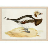Plumage 1 Painting