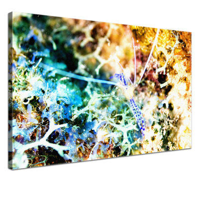 Print on Canvas