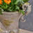 MGO PLANTER-117874057