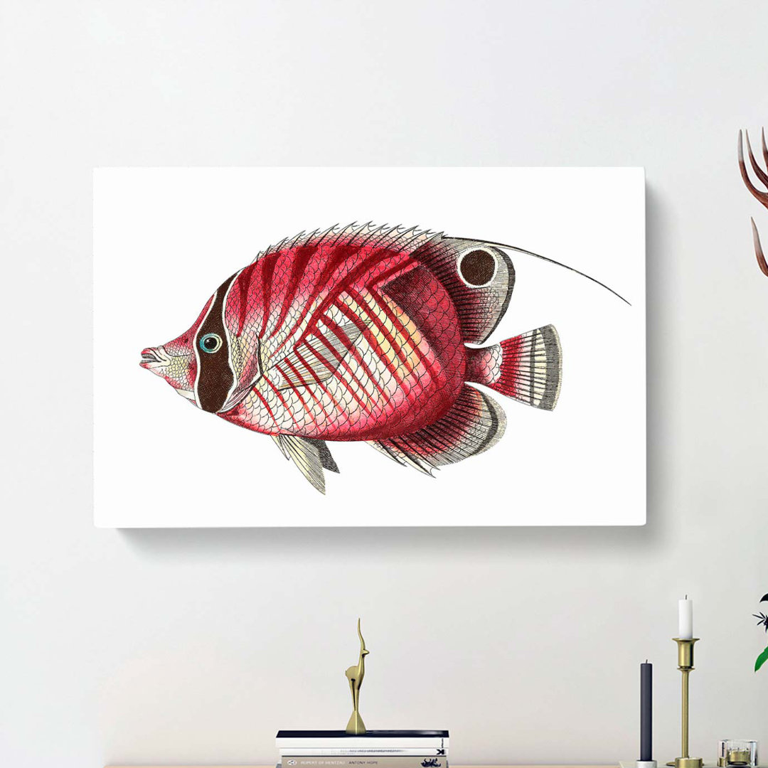 Butterflyfish by George Shaw - Wrapped Canvas