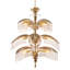 Hildebrandt 14 - Light Chandelier
