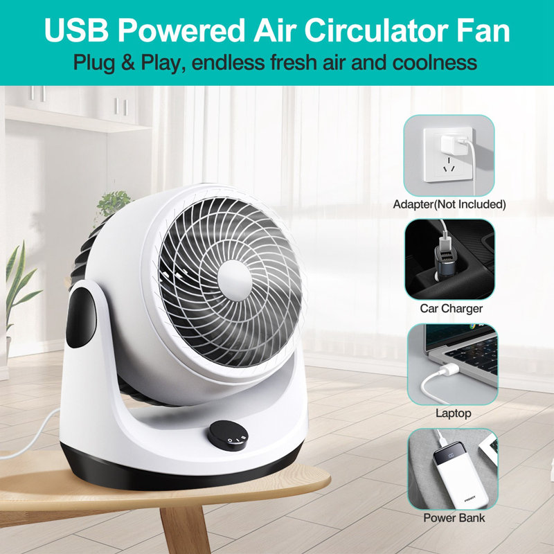 Edge Collections 9'' Accent Fan