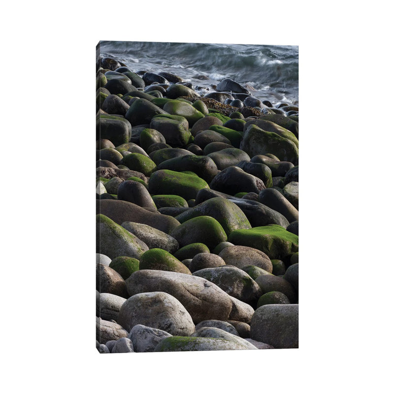 USA, Maine. Moss Covered Rocks and Ocean, Boulder Beach, Acadia National Park 1 Piece Wrapped Canvas Wall Art