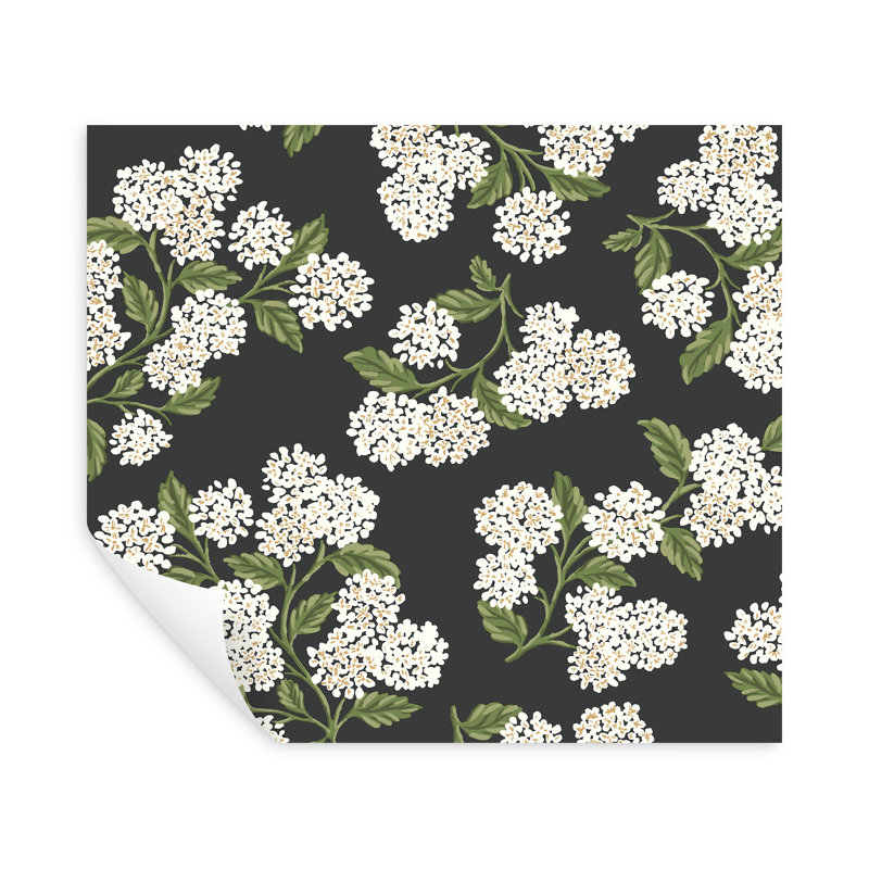 Papier peint Hydrangea blanc, Noir, noir, noir, noir