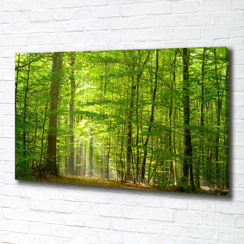 Deciduous Forest - Wrapped Canvas Print