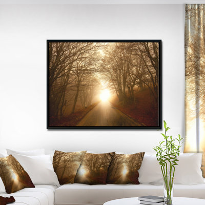 Path to Sunlight in Autumn Forest'Photograph