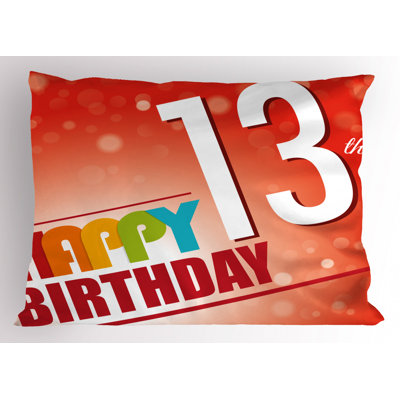 Teen Polyester Sham Set
