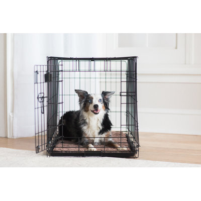 Tapis pour chien snoozzy