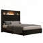 Structure de lit double capitonnée en velours-1642772329