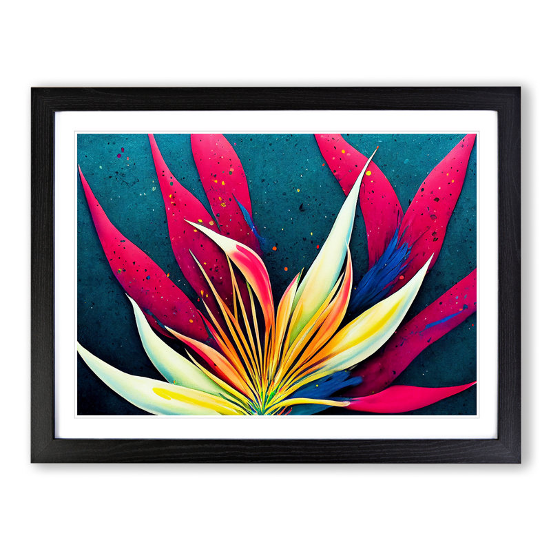 Bird Of Paradise Flower Splash Vol.6 - Single Picture Frame Print, 25cm H x 34cm W x 2cm D, Black