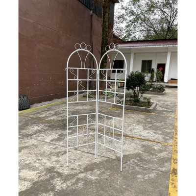1Set (2pcs) Metal Garden Trellis for Climbing Plants Outdoor  Rustproof Plant Support