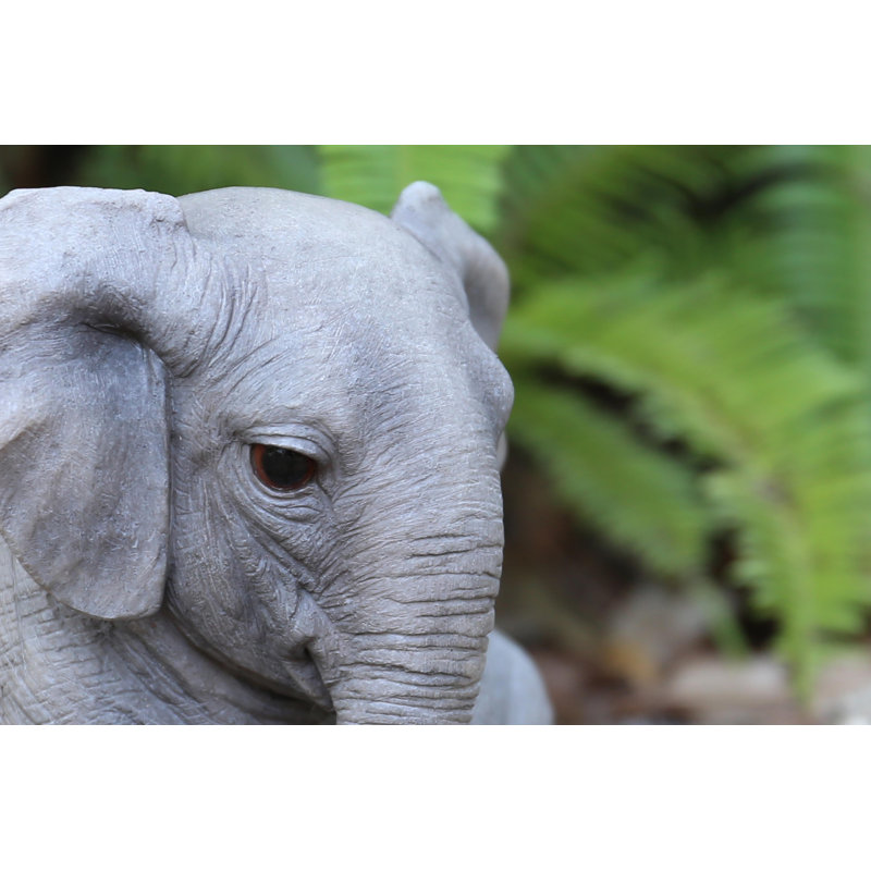 CHUBBY ELEPHANT SITTING