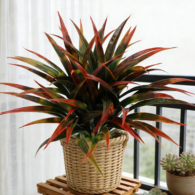 6 pièces de verdure artificielle, 16,54 pouces de glaïeul simulé, décoration pour le bureau à domicile, mariage, intérieur, extérieur, verdure (contenant non inclus), rouge