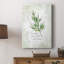 Estragon frais - galerie Cavas enveloppé-1104955569