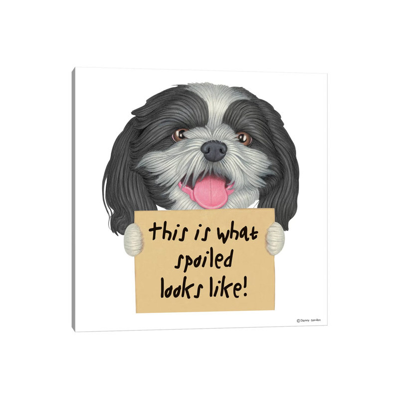 Shih Tzu gâté ressemble, H 12 po x l 12 po x P 0,75 po