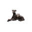 Greyhound Dog - pieds de jardinière couleur bronze dans une boîte cadeau