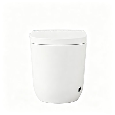 Toilette intelligente avec bidet Yingze