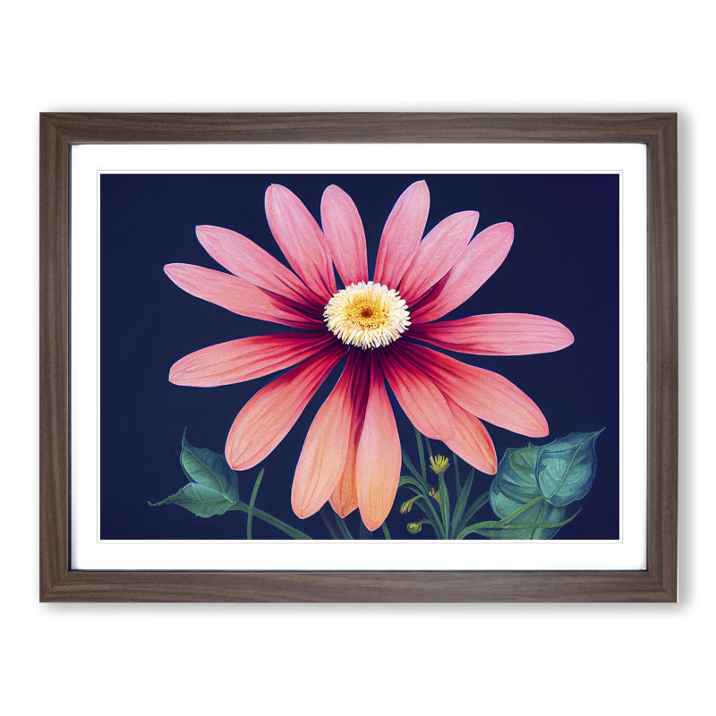 Fine Daisy Flower 1 Piece Single Picture Frame Painting, 25cm H x 34cm W x 2cm D, Walnut