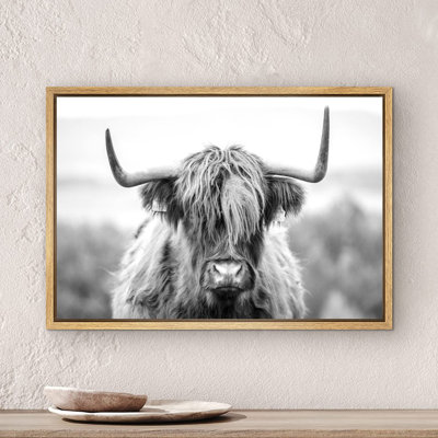 Animaux, vache Highland noir et blanc, photos de ferme rustique moderne, impression numérique sur toile giclée sur toile