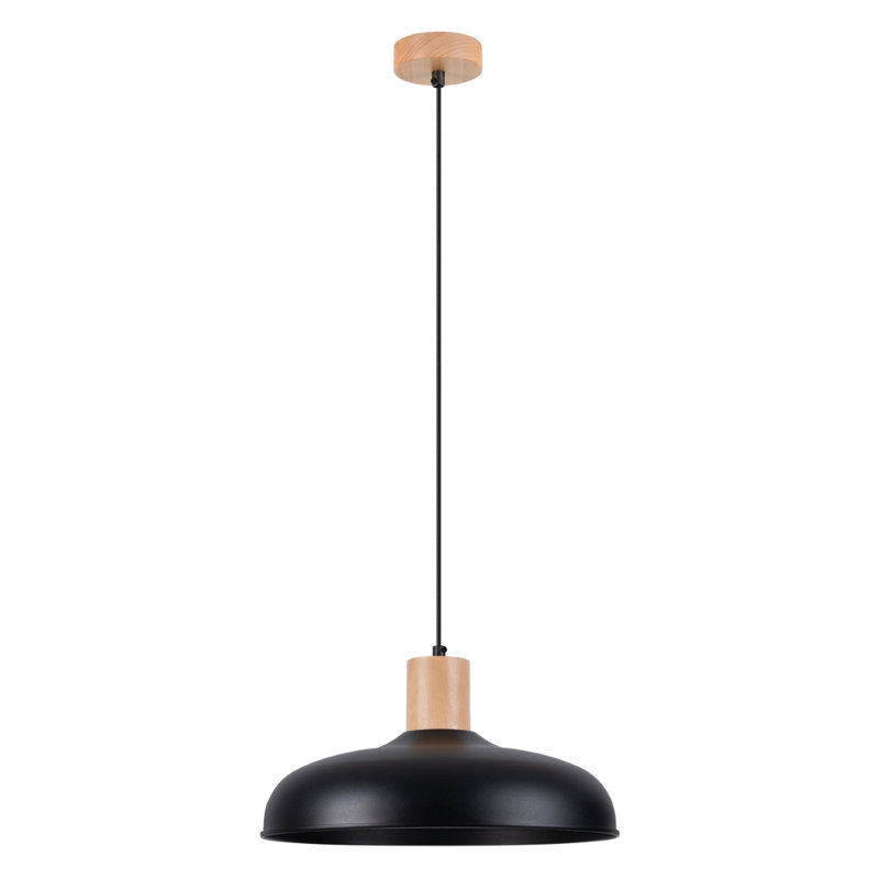 1 - Light Stainless Steel Pendant, Black