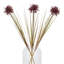 Anastasija Arrangement-1018240834-1018240839