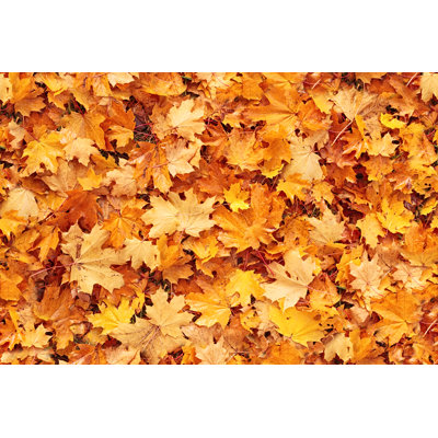 Seamless Autumn Leaves by Rusm