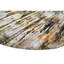 Area Rug in Brown-485629862