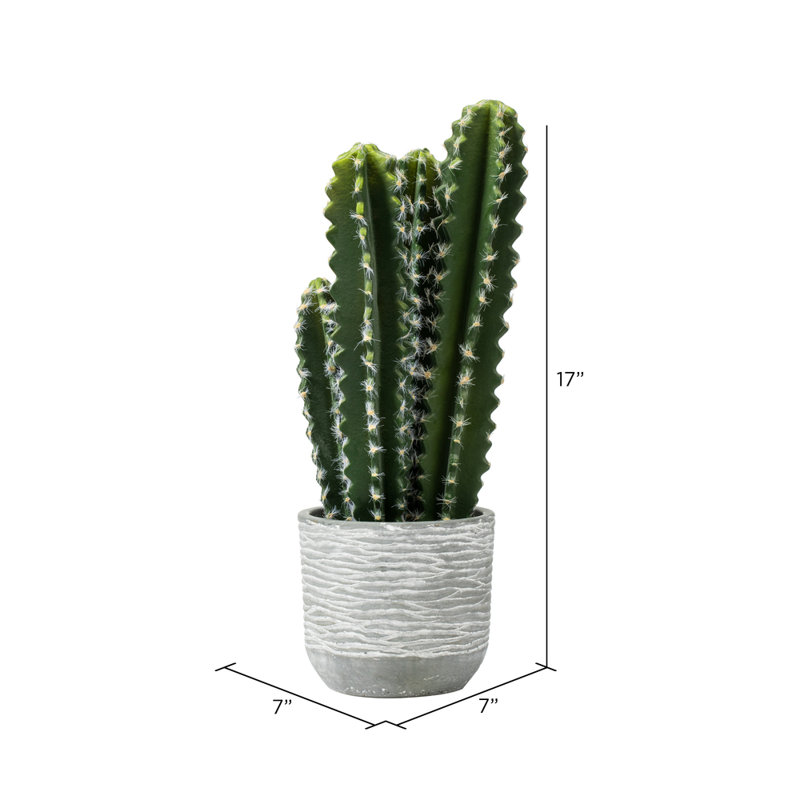 17 " H Faux Cactus Succulent in Concrete Pot