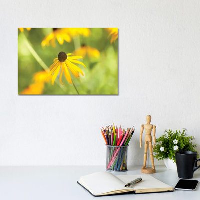 Susan Study I by James McLoughlin - Wrapped Canvas Print